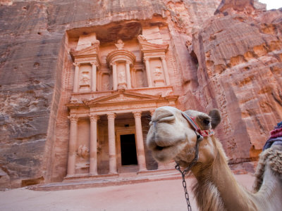 Petra Camel