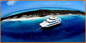 Gay scuba diving in the bahamas
